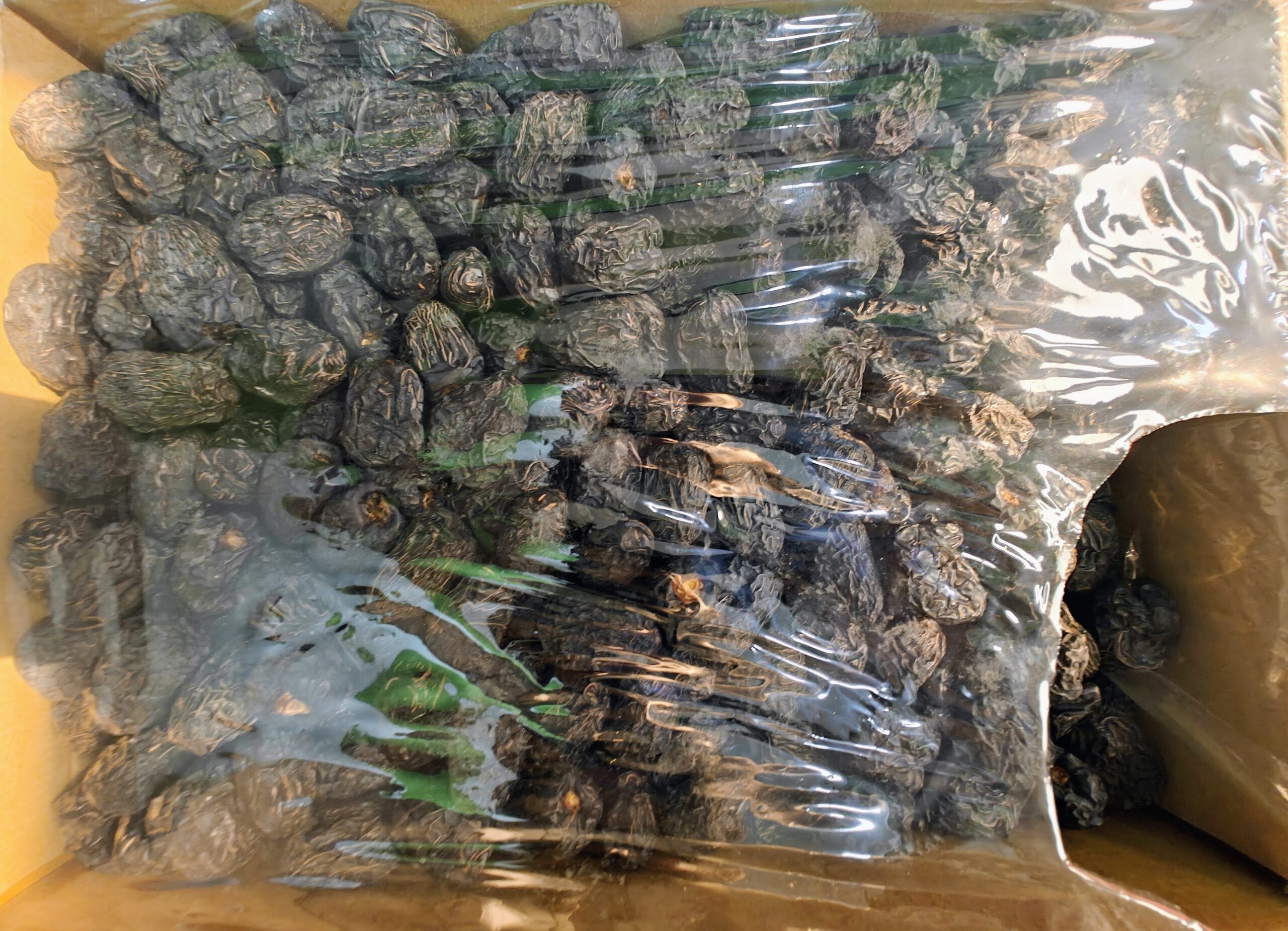 oplus_3145728 Premium Ajwa Dates – Madina Munawwara - Image 4