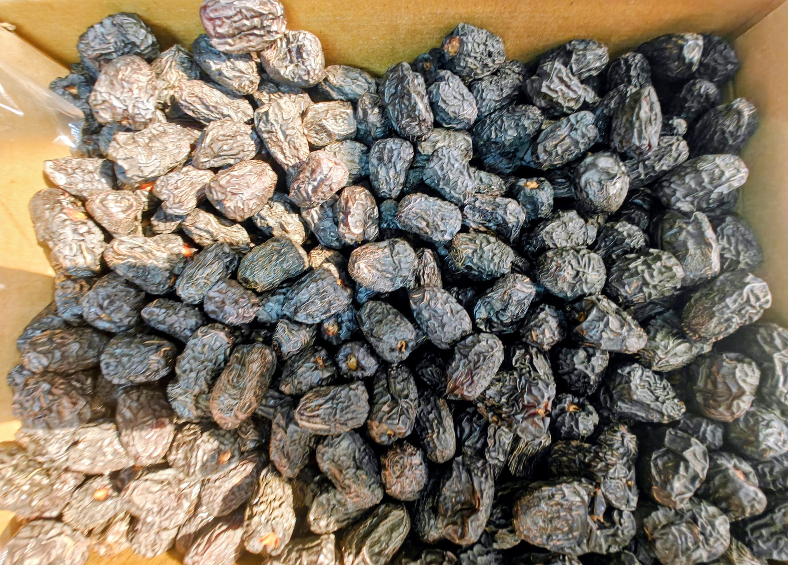 oplus_3145728 Premium Ajwa Dates – Madina Munawwara - Image 5